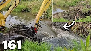 Without the Excavator It Would Be A Hard Day  Beaver Dam Removal With Excavator No161 [upl. by Bodkin]