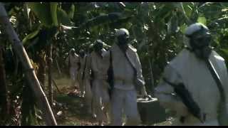 Contamination 1980  Trailer [upl. by Ysirhc680]