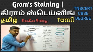 Grams Staining  Tamil  தமிழ்  Gram Positive and Gram Negative Bacteria [upl. by Simah]