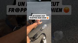 Il veut pas que j’enlève la muselière de mon chien 😱😨￼nino chien malinois dog [upl. by Htyderem]