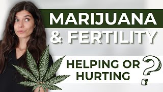 Planning for Pregnancy How Marijuana Could Be Hindering Your Fertility [upl. by Accire636]