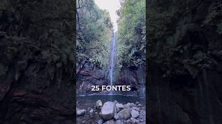 25 waterfalls hike Wanna make it Watch the video 😉 madeira hiking waterfalls [upl. by Ajnot]