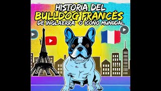 quotLa Historia del Bulldog Francés De los Barrios de Inglaterra a Icono Mundialquot [upl. by Limaa]