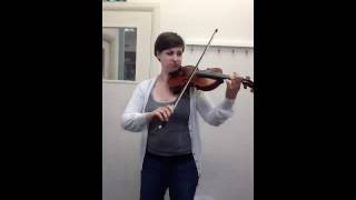 Vivaldi 1st movement of A minor Concerto for violin [upl. by Nywroc]