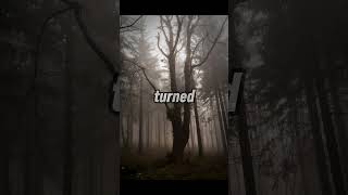 Creepy Forest Story [upl. by Nolte]