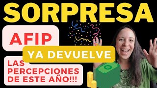 AFIP ME DEBE DEVUELVE LAS PERCEPCIONES 🤑​ Paso a paso TODOS los TRÁMITES 2024 [upl. by Heins]