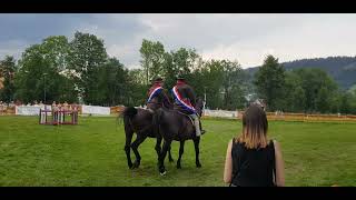 Zakopane Mistrzostwa Podhala w Powożeniu Autor Tomasz Krzyściak Festiwal Folkloru Ziem Górskich [upl. by Buell]