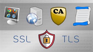 Key Players of SSL amp TLS Client Server Certificate Authority CA  Practical TLS [upl. by Gussy33]