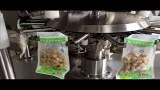 Automatic Pouch Packing Machines  Pouch Packing Machine Manufacturer [upl. by Anircam]