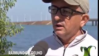 Piracema começa na próxima terça feira 1º G1 Tocantins Jornal do Campo Catálogo de Vídeos [upl. by Nitaj]