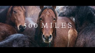 500 Miles  The Story of Ranchers and Horses 2017 [upl. by Ahseiym]