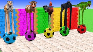 Long Slide Game With Elephant Gorilla Buffalo Hippopotamus Tiger  3d Animal Game  Funny 3d Animals [upl. by Ynaffit331]