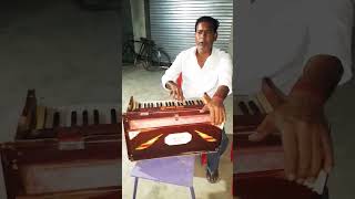 Harmonium playing shorts shortvideo [upl. by Nicholson945]