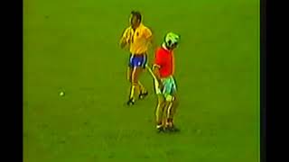 CORK GOAL  CORK V LIMERICK  1984 MUNSTER HURLING CHAMPIONSHIP [upl. by Verile]