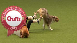 Heelwork To Music  International Freestyle Competition Part 33  Crufts 2017 [upl. by Euqinamod882]