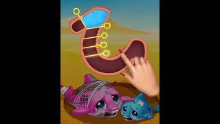 Island Hoppers  Ad 195 mobilegameads bestads cringeads funnyads horsecommercial theyneedwater [upl. by Muffin]