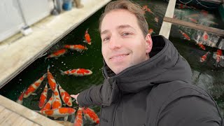 I Traveled to the Snowiest Place on Earth to Visit Koi Breeders [upl. by Annaehr]