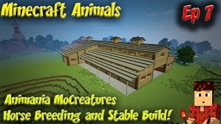 Minecraft Animals Ep7 Animania MoCreatures Horse Breeding and Stable Build [upl. by Nael]