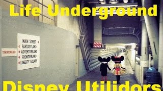 Life Underground at Magic Kingdom The Utilidors Ep 8 Confessions of a Theme Park Worker [upl. by Eikciv]