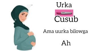 calamadaha uurka cusub Ama bilowga ah [upl. by Lyrrehs]