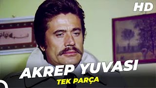 Akrep Yuvası  Cüneyt Arkın Türk Filmi Full [upl. by Nohsyt]