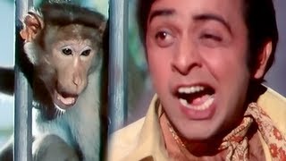 Vinod Mehra amp Monkey  Funniest Comedy Scene  Do Phool [upl. by Rivy]