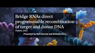 quotBridge RNAs direct programmable recombination of target and donor DNAquot [upl. by Nohtanoj936]