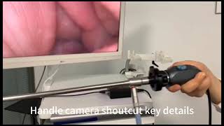 Full HD Portable Endoscopic Camera Unit Video Ent Endoscope [upl. by Hagile]