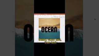 Video in Text Format in Excel [upl. by Hamrnand916]