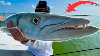 EPIC Florida Keys Flats Fishing for Barracuda and Bonefish [upl. by Cynthie540]