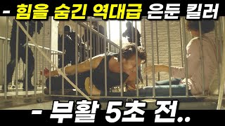 총 제작비 500억 자신을 배신한 조직을 단 하루 만에 쓸어버리는 세계랭킹 1위 은둔 킬러 영화리뷰 결말포함 [upl. by Assirolc655]