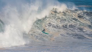 PUNTA DE LOBOS  CHILE 2019 [upl. by Ayitahs]