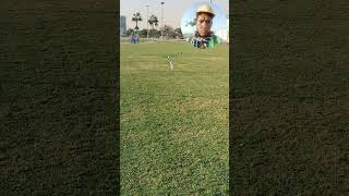 Dareen park video parwezvlogs86 video edit shortvideo short ytshortsvideo youtube music [upl. by Harrow]