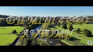 DJI MINI 4 PRO  AUTUMN FLIGHT [upl. by Imuyam345]