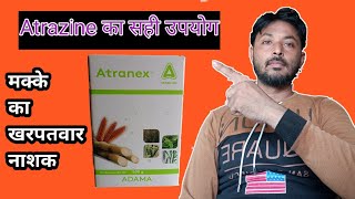 मक्का की फसल में खरपतवार का नियंत्रण ।Atrazine का प्रयोग करने का तरीका।Atrazine 50WP [upl. by Lenzi]