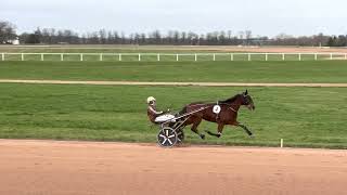 Qualifications Grosbois  Trot attelé  lot 7 du 10223 [upl. by Atikkin]