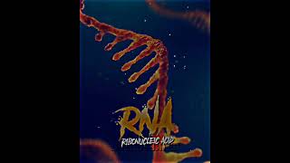 DNA VS RNA [upl. by Nnarual]