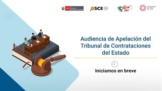 Audiencia de Apelación del Tribunal de Contrataciones del Estado S5EXP83272024TCE [upl. by Aneetsyrk424]