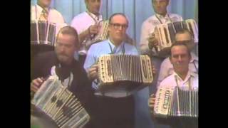 Christy Hengels Concertina AllStars Lindenau Polka [upl. by Asyla]