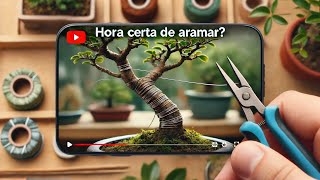 quotQuando é a Hora Certa de Aramar seu Bonsai Dicas Essenciaisquot [upl. by Eirroc158]