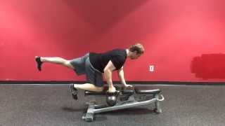 Quadruped Row on Bench [upl. by Brathwaite]