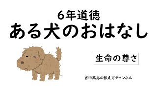 6年道徳 ある犬のおはなし 教材分析と発問を紹介しています [upl. by Doralyn]