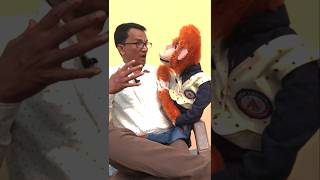 Pathri se bachne ke liye truck chalayen comedy shortvideo viralcomedy funny video [upl. by Finlay495]