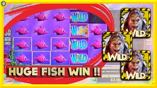 Massive Slot Session Gold Fish Big Foot Dougs Nuggets amp More [upl. by Yar949]