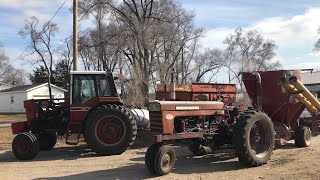 Grinding cattle feed from ear corn recipe using New Holland 354 grinder mixer and IH tractors [upl. by Ondrea]