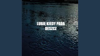 Lubię Kiedy Pada Deszcz feat GoHa [upl. by Ailecnarf]