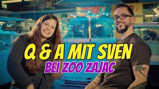 Q amp A mit Sven bei Zoo Zajac  ein interessantes Interview svensterratorium3519 zoozajac [upl. by Fi463]