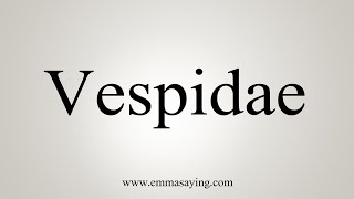 How To Say Vespidae [upl. by Eerrahs]