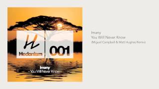 Imany  You Will Never Know Miguel Campbell amp Matt Hughes Remix [upl. by Sseb]