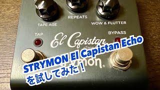 STRYMON ストライモン El Capistan Echo3種類のテープエコー・サウンド、リバーブ、ルーパー搭載エフェクターを試してみた！ [upl. by Doe344]